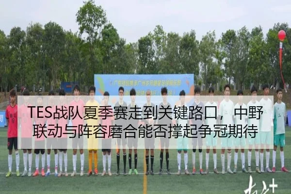 TES战队夏季赛走到关键路口，中野联动与阵容磨合能否撑起争冠期待